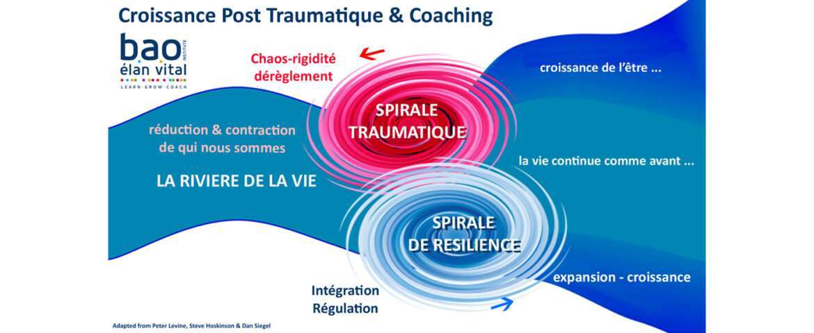 « Impuissance Chronique Ou Croissance Post Traumatique ? » – Par ...